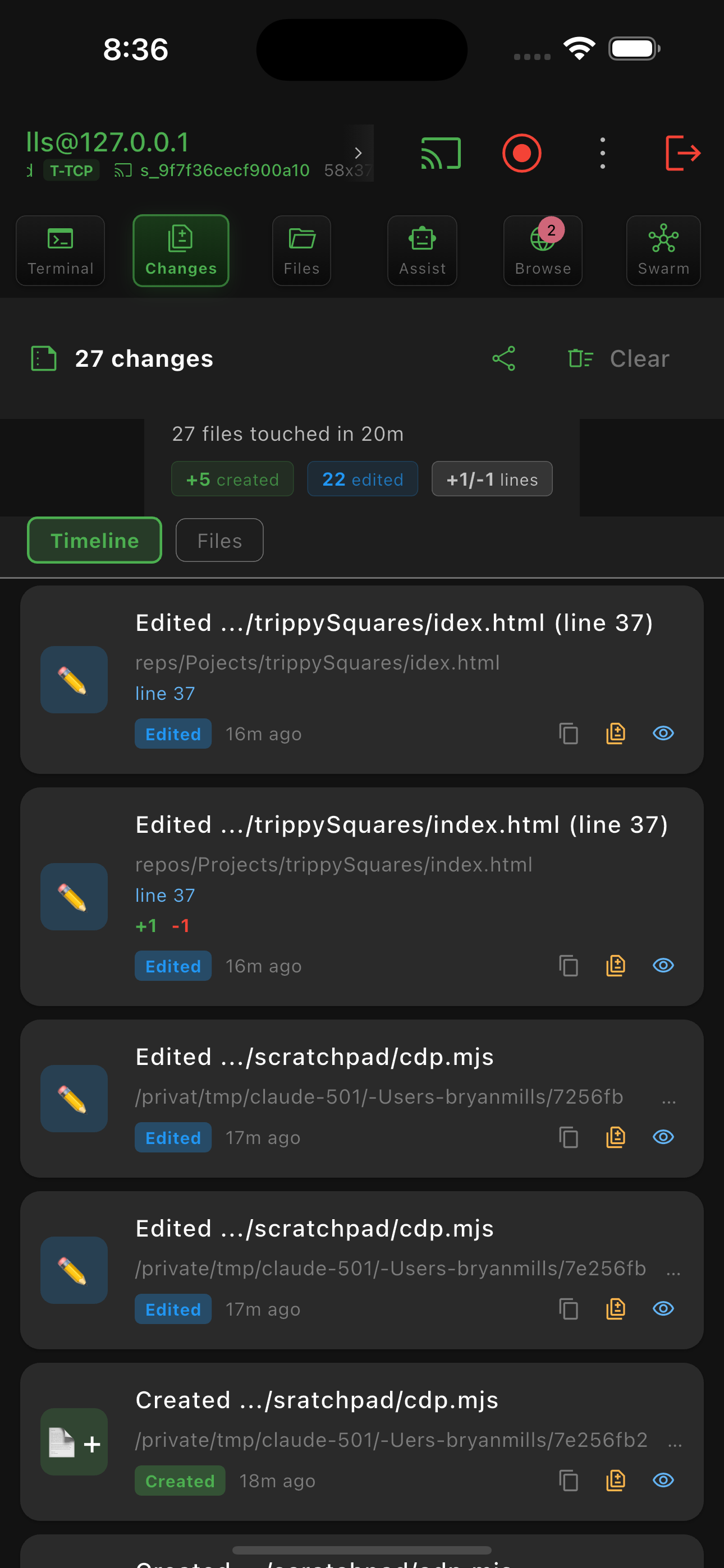 Changes tab: files the AI changed with line counts and a diff preview.